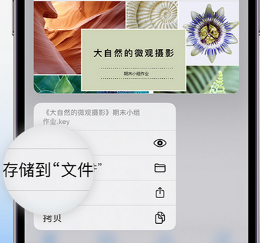 滦平apple维修中心分享iPhone文件应用中存储和找到下载文件