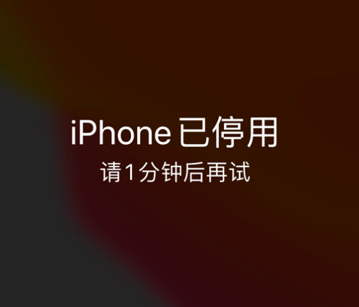 滦平苹果手机维修分享:iPhone 显示“不可用”或“已停用”怎么办？还能保留数据吗？ 