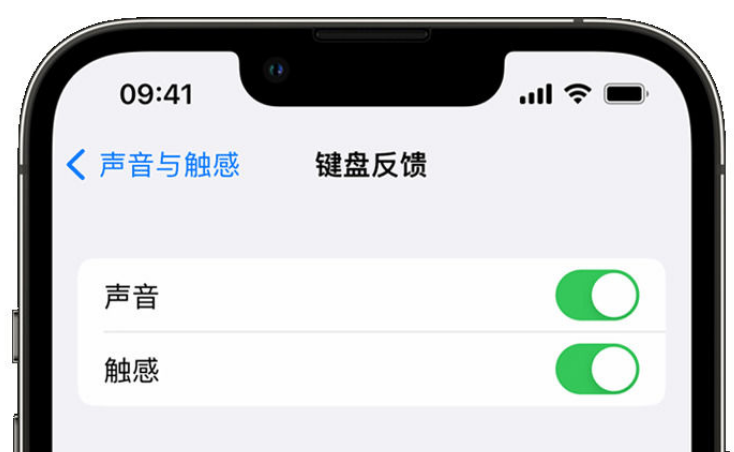 滦平苹果手机维修分享iPhone 14触感键盘使用方法 