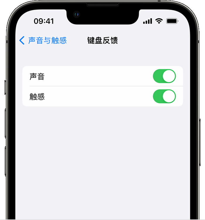 滦平苹果14维修店分享如何在 iPhone 14 机型中使用触感键盘 