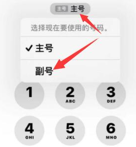 滦平苹果14维修店分享iPhone 14 Pro Max使用副卡打电话的方法 