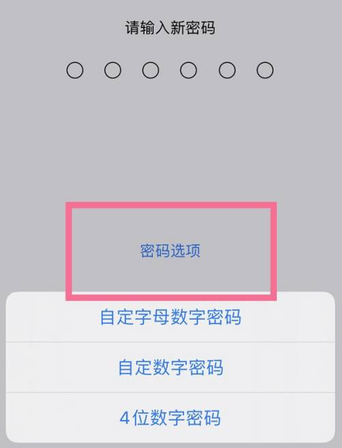 滦平苹果14维修分享iPhone 14plus设置密码的方法 