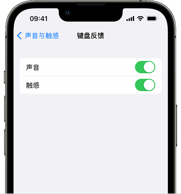 滦平苹果14维修分享iPhone 14 系列机型如何开启键盘声音或触感反馈 
