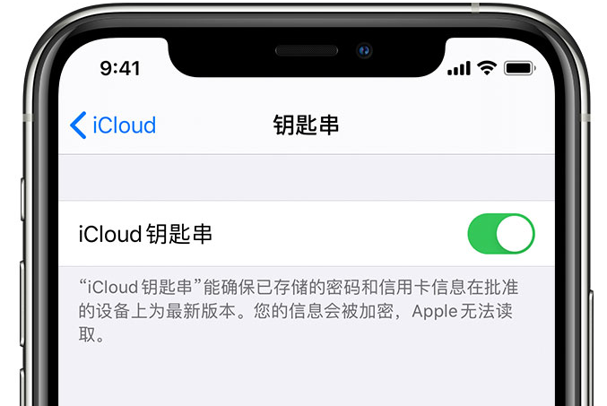 滦平苹果手机维修分享在 iPhone 上开启 iCloud 钥匙串之后会储存哪些信息 