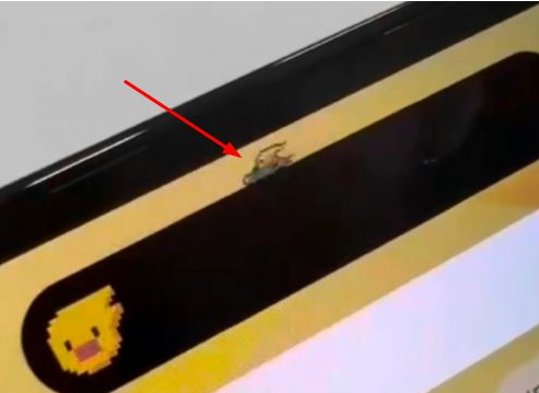 滦平苹果14维修分享iPhone 14 Pro Max灵动岛怎么养宠物 