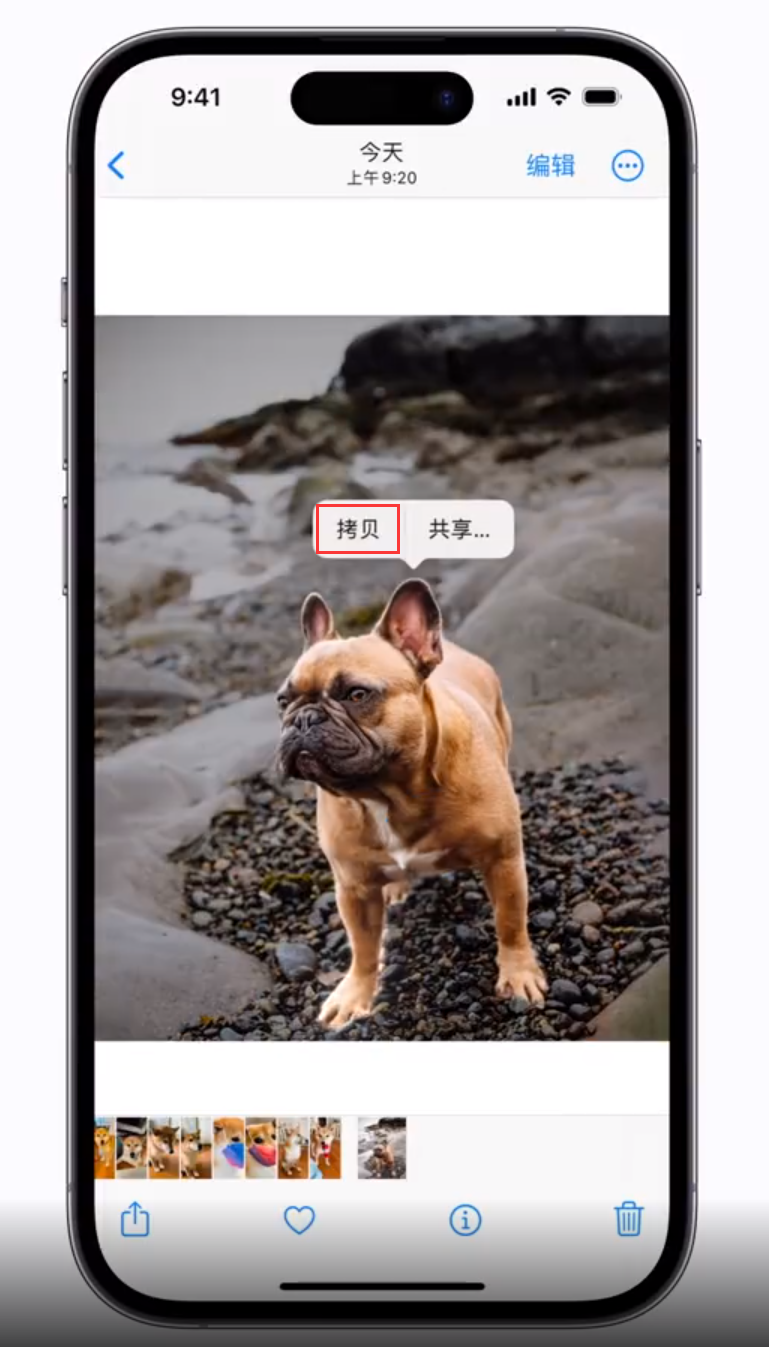 滦平苹果手机维修分享 iOS 16 自带一键抠图功能 