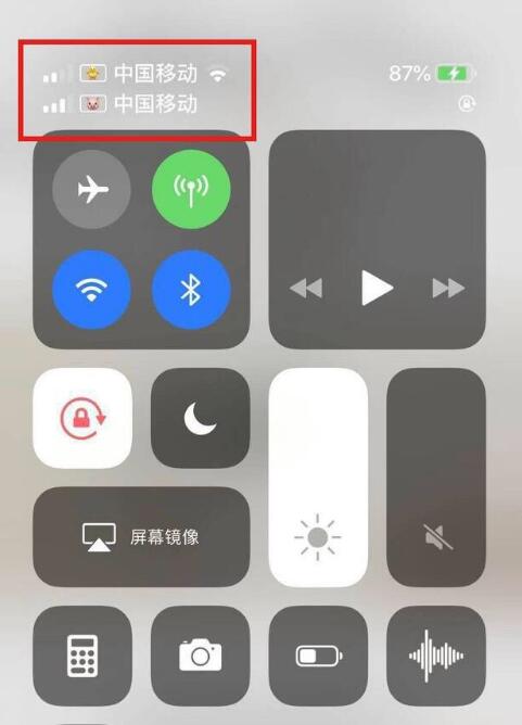 滦平苹果手机维修分享为 iPhone 12 双卡设置标签 