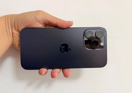 滦平苹果维修点分享iPhone 14 Pro Max黑屏少见故障盘点 